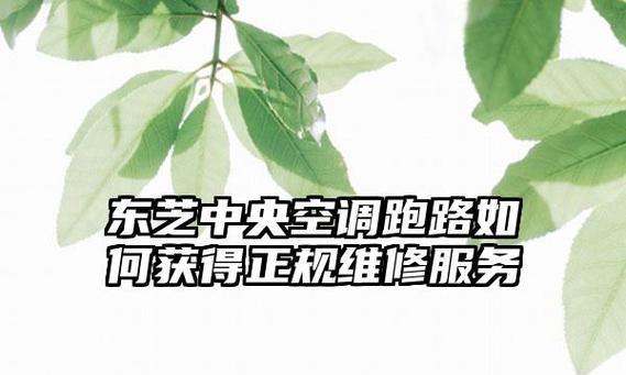 探讨东芝中央空调unit代码的应用与优势（揭示东芝中央空调unit代码的关键特点及其在空调系统中的重要作用）