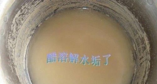 净水器无法去除水垢的原因（水垢成因及对净水器的影响）