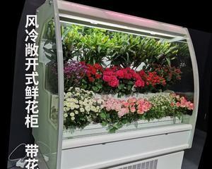 冰柜鲜花保存方法（延长鲜花寿命的小妙招）