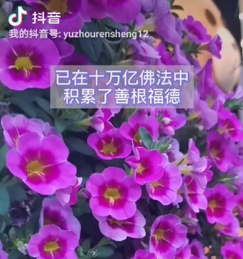 打印机打字模糊问题解析（虚字问题的原因和解决方法）